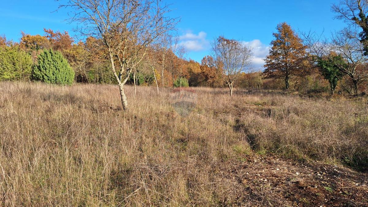 Stavbno zemljišče Barat, Kanfanar, 6.065m2