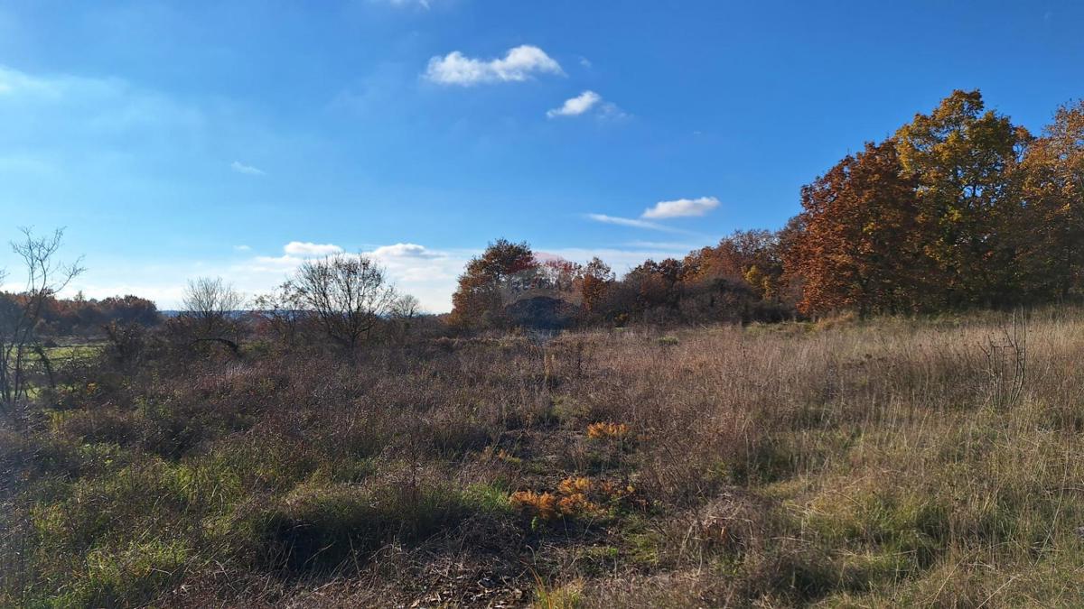 Stavbno zemljišče Barat, Kanfanar, 6.065m2