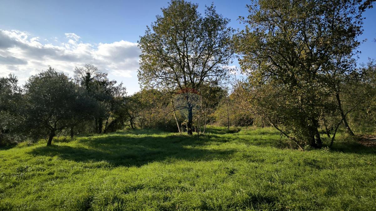 Istra, Marčana – Gradbena parcela, 700 m2