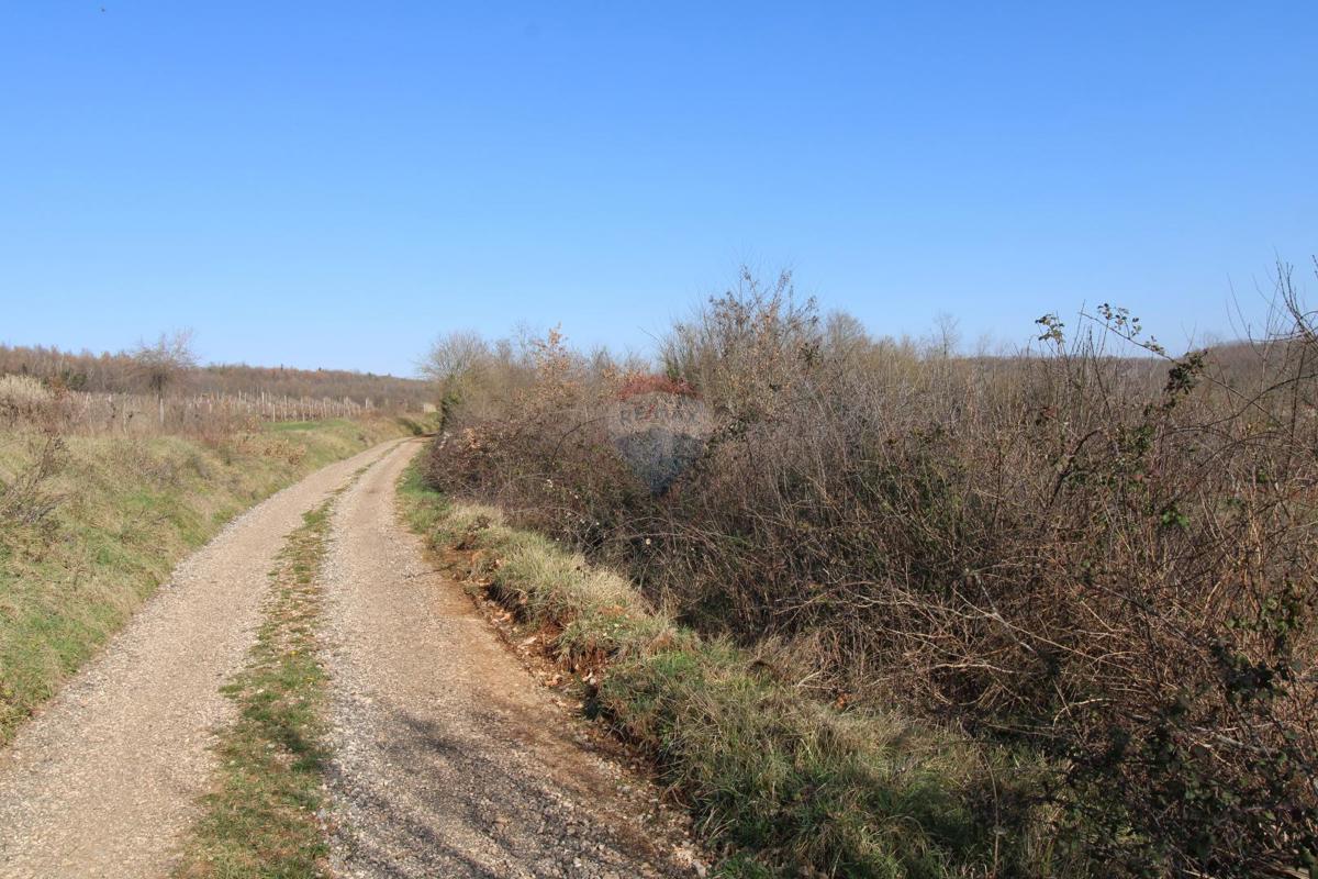 Stavbno zemljišče Velići, Vižinada, 3.006m2