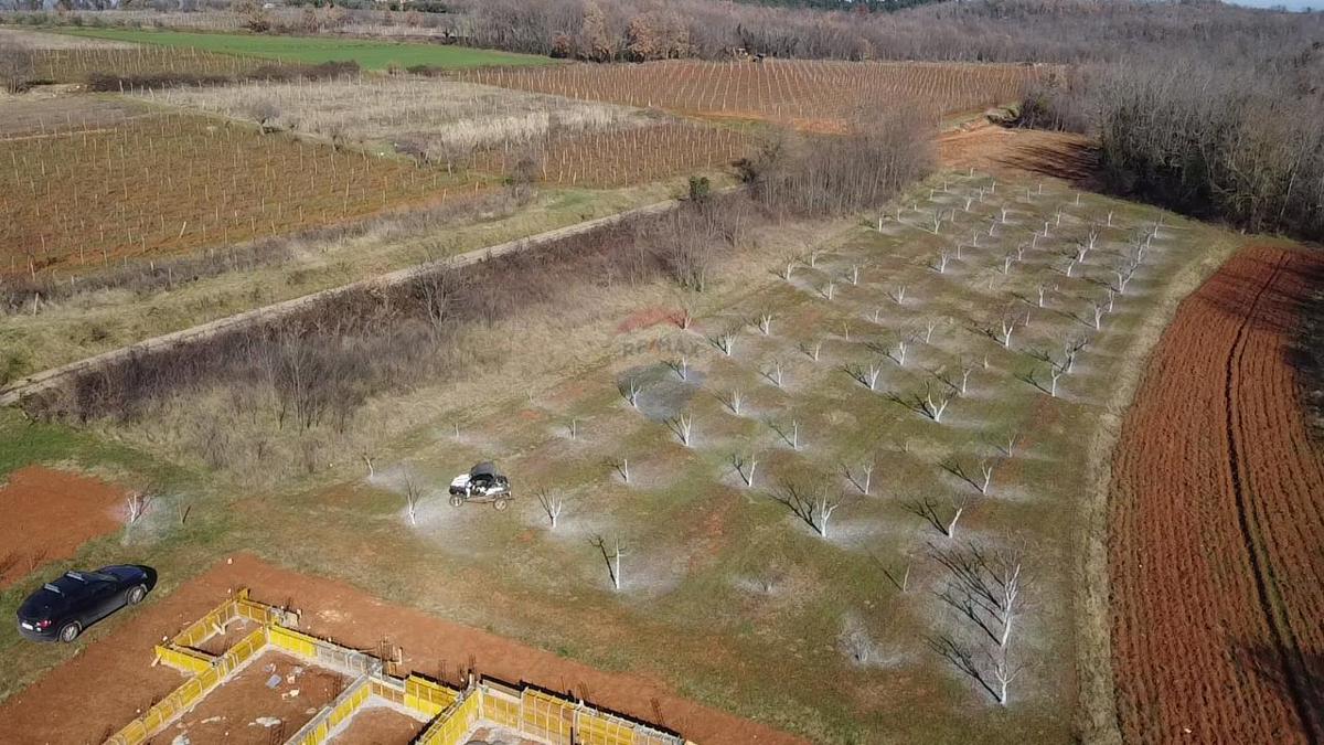 Stavbno zemljišče Velići, Vižinada, 3.006m2