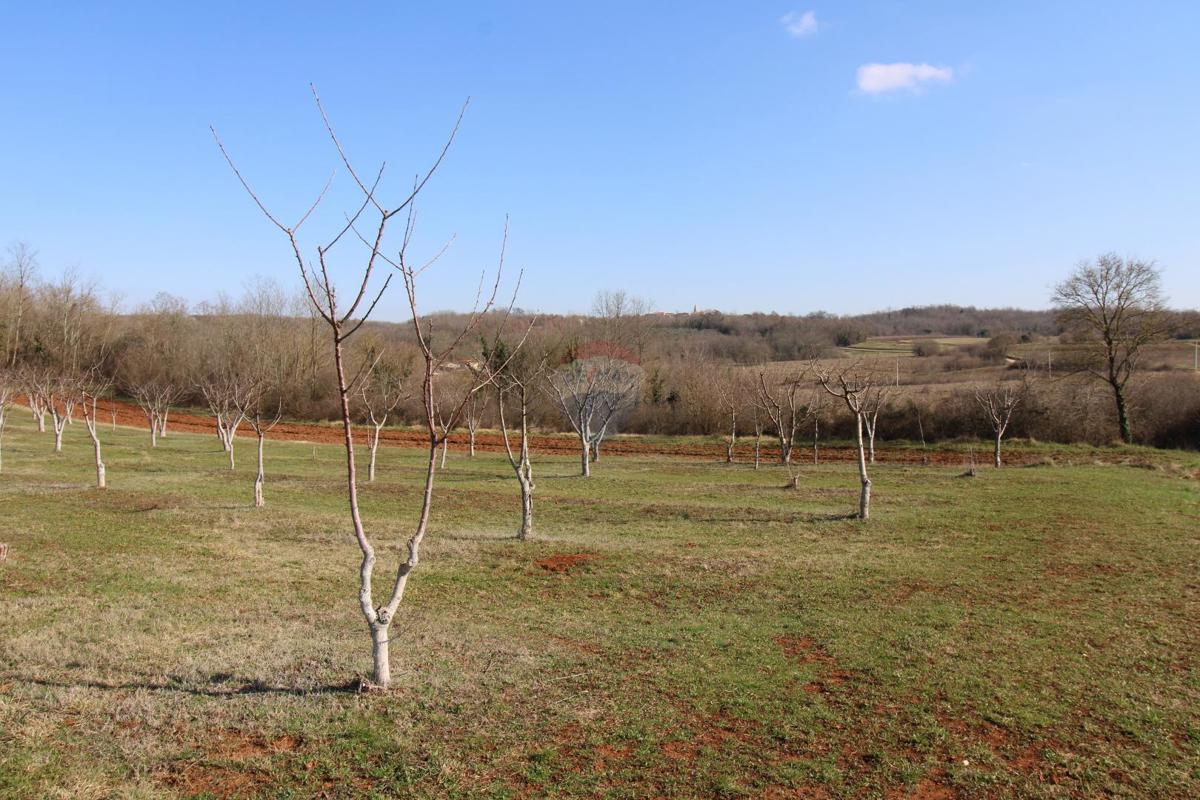 Stavbno zemljišče Velići, Vižinada, 3.006m2