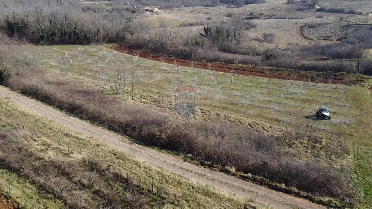 Stavbno zemljišče Velići, Vižinada, 3.006m2