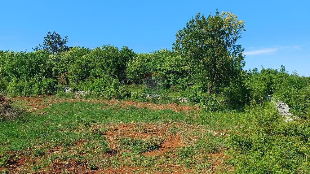 Stavbno zemljišče Belavići, Marčana, 1.085m2