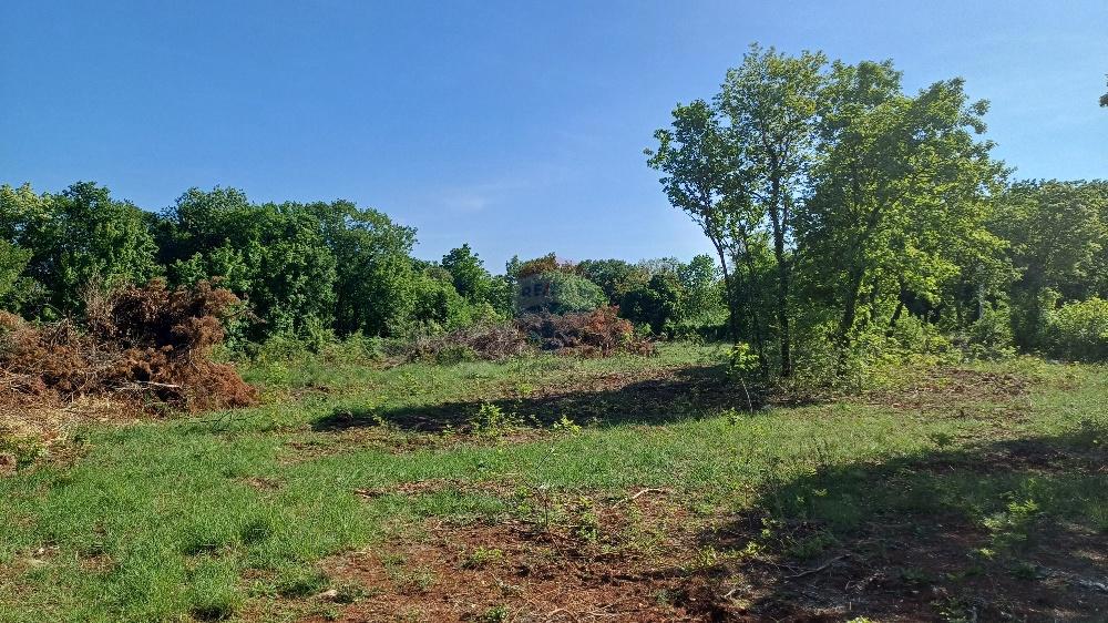 Stavbno zemljišče Belavići, Marčana, 1.085m2