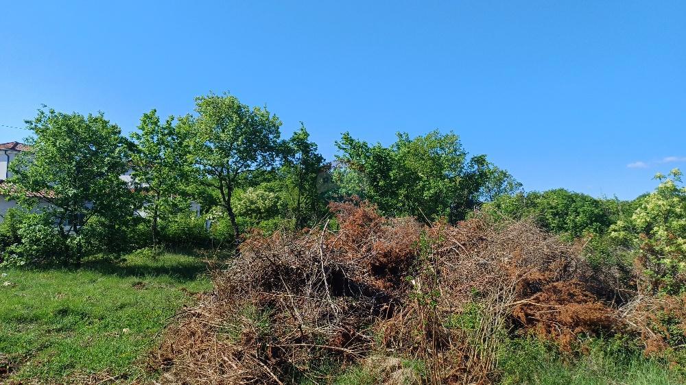 Stavbno zemljišče Belavići, Marčana, 1.085m2