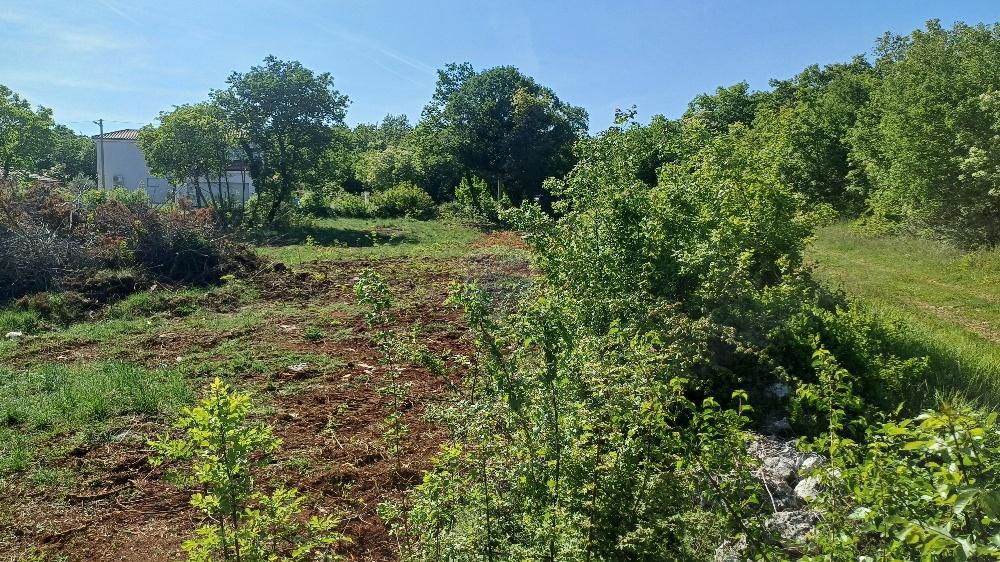Stavbno zemljišče Belavići, Marčana, 1.085m2