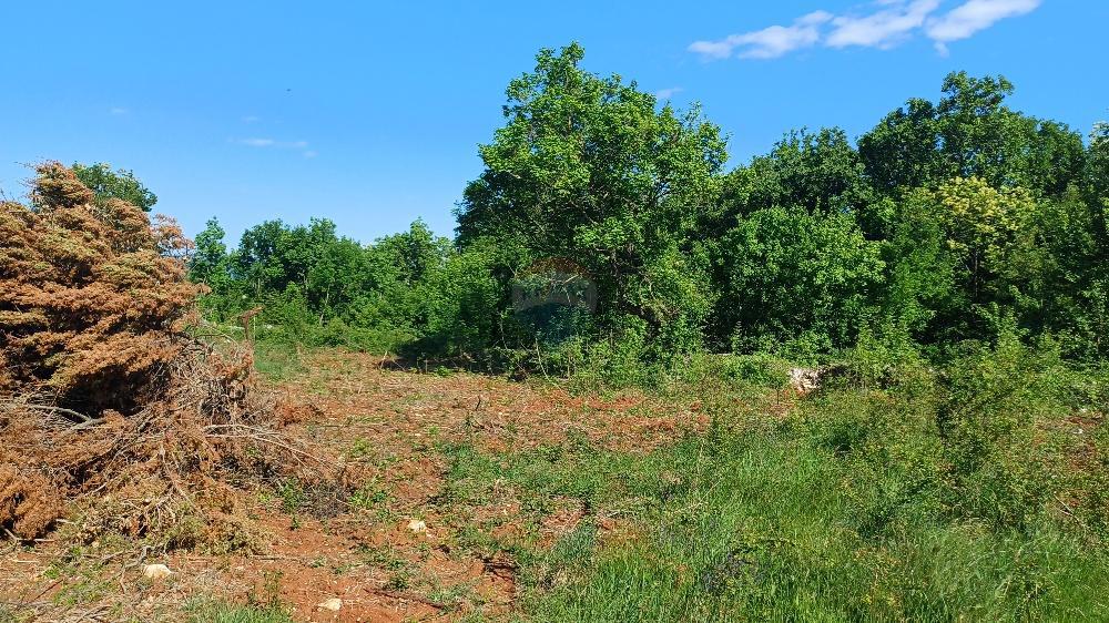 Stavbno zemljišče Belavići, Marčana, 1.085m2