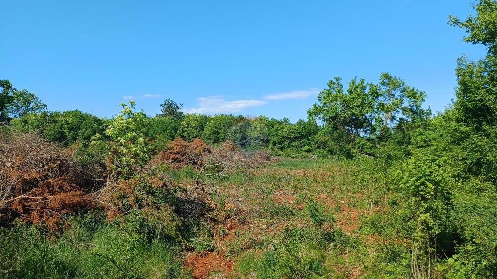 Stavbno zemljišče Belavići, Marčana, 1.085m2