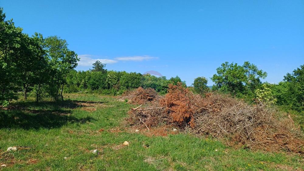 Stavbno zemljišče Belavići, Marčana, 1.085m2
