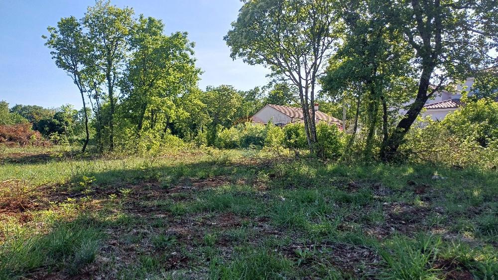 Stavbno zemljišče Belavići, Marčana, 1.085m2