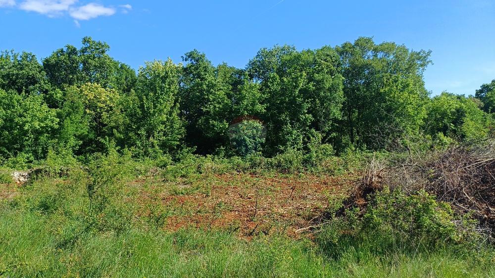Stavbno zemljišče Belavići, Marčana, 1.085m2