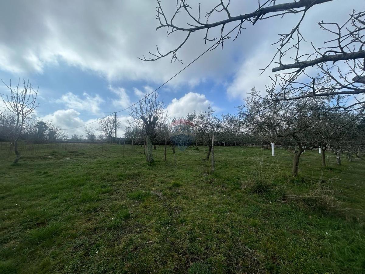 Stavbno zemljišče Poreč, 884m2