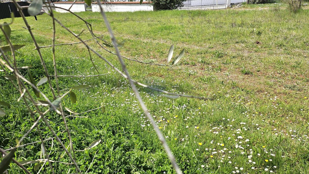 Stavbno zemljišče Umag, 400m2