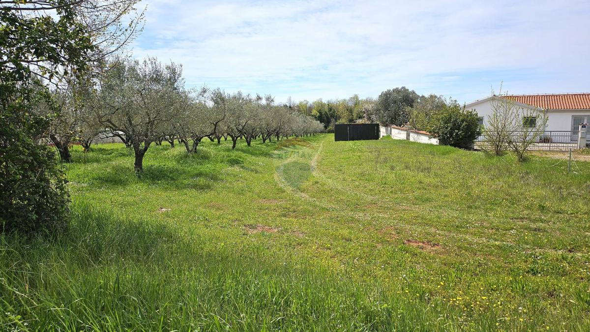 Stavbno zemljišče Umag, 400m2