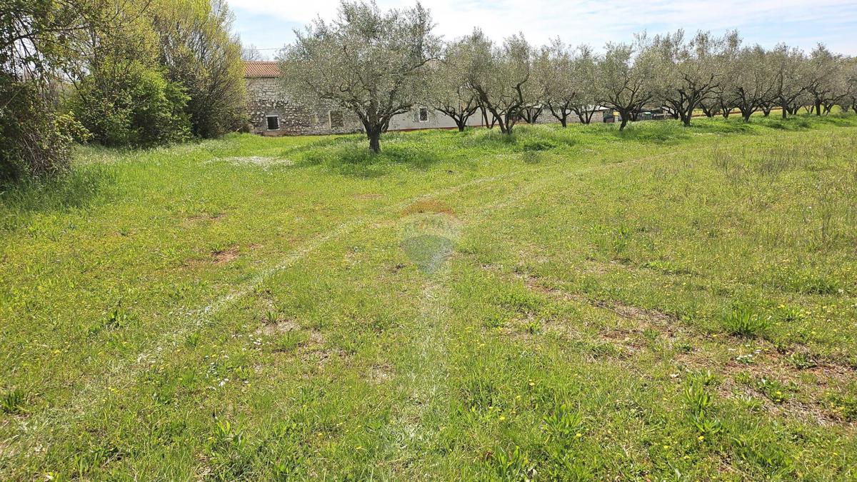 Stavbno zemljišče Umag, 400m2
