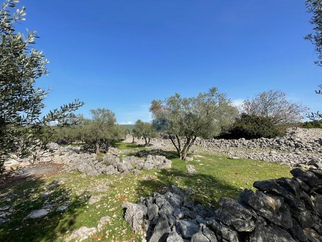Stavbno zemljišče Krk, 2.087m2