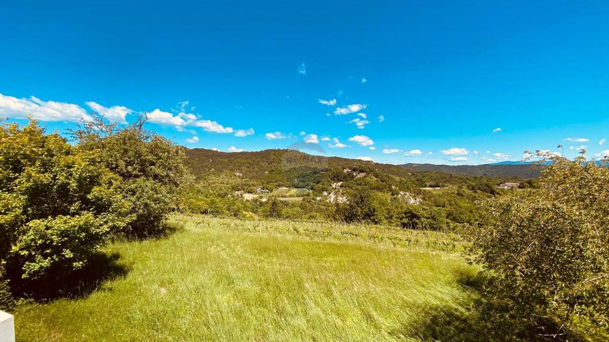 Istria, Pican - Holiday House in Istrian village