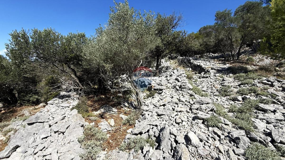 Stavbno zemljišče Veli Lošinj, Mali Lošinj, 795m2