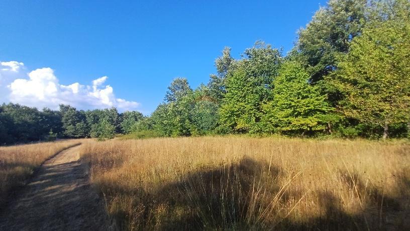 Stavbno zemljišče Krnica, Marčana, 37.601m2