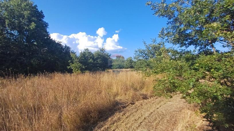 Stavbno zemljišče Krnica, Marčana, 37.601m2
