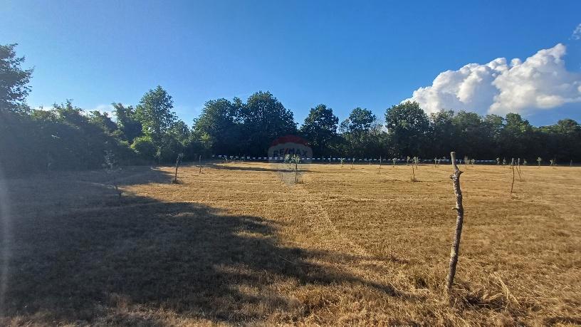 Stavbno zemljišče Krnica, Marčana, 37.601m2
