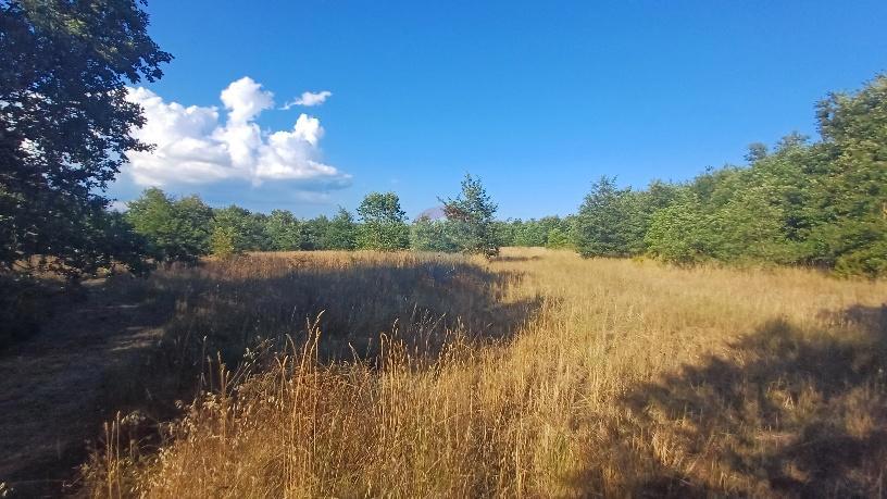 Stavbno zemljišče Krnica, Marčana, 37.601m2