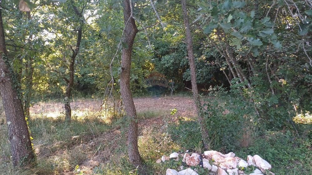 Stavbno zemljišče Krnica, Marčana, 37.601m2