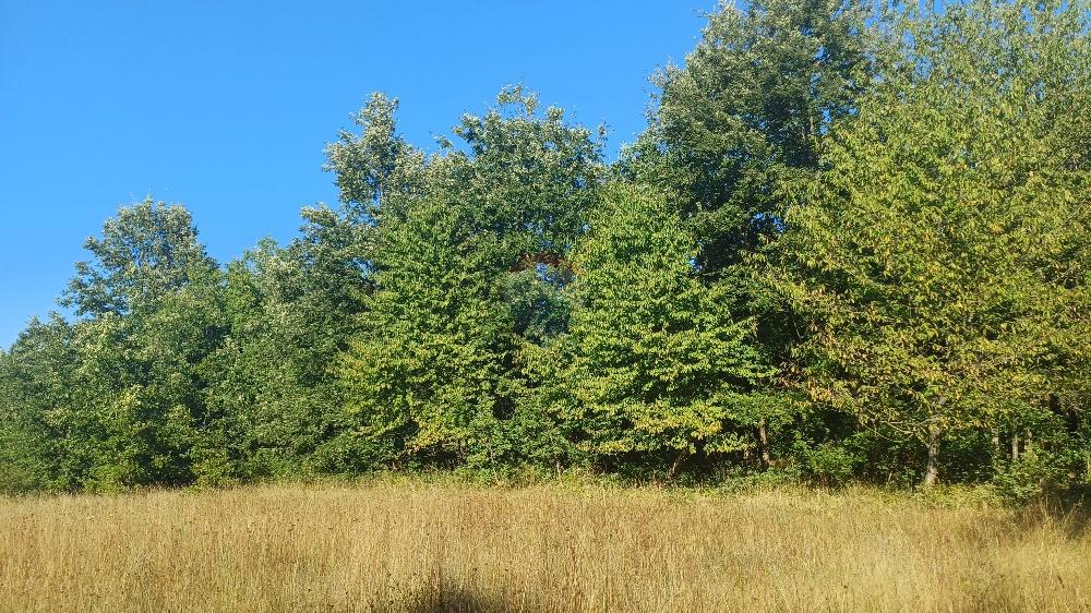 Stavbno zemljišče Krnica, Marčana, 37.601m2