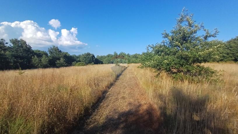 Stavbno zemljišče Krnica, Marčana, 37.601m2