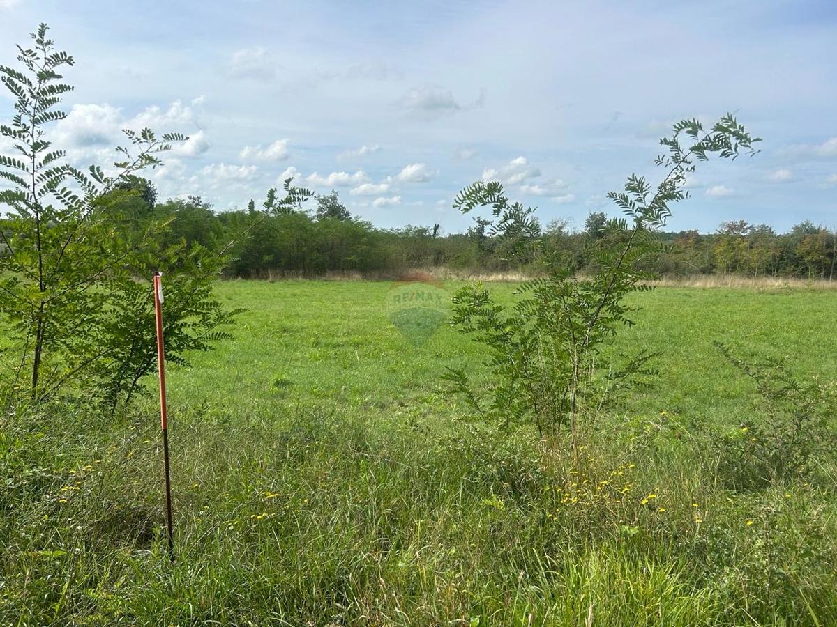 Stavbno zemljišče Višnjan, 3.016m2
