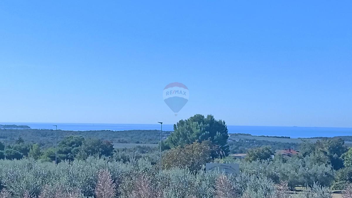 Stanovanje/Apartma Tar, Tar-Vabriga, 78,98m2