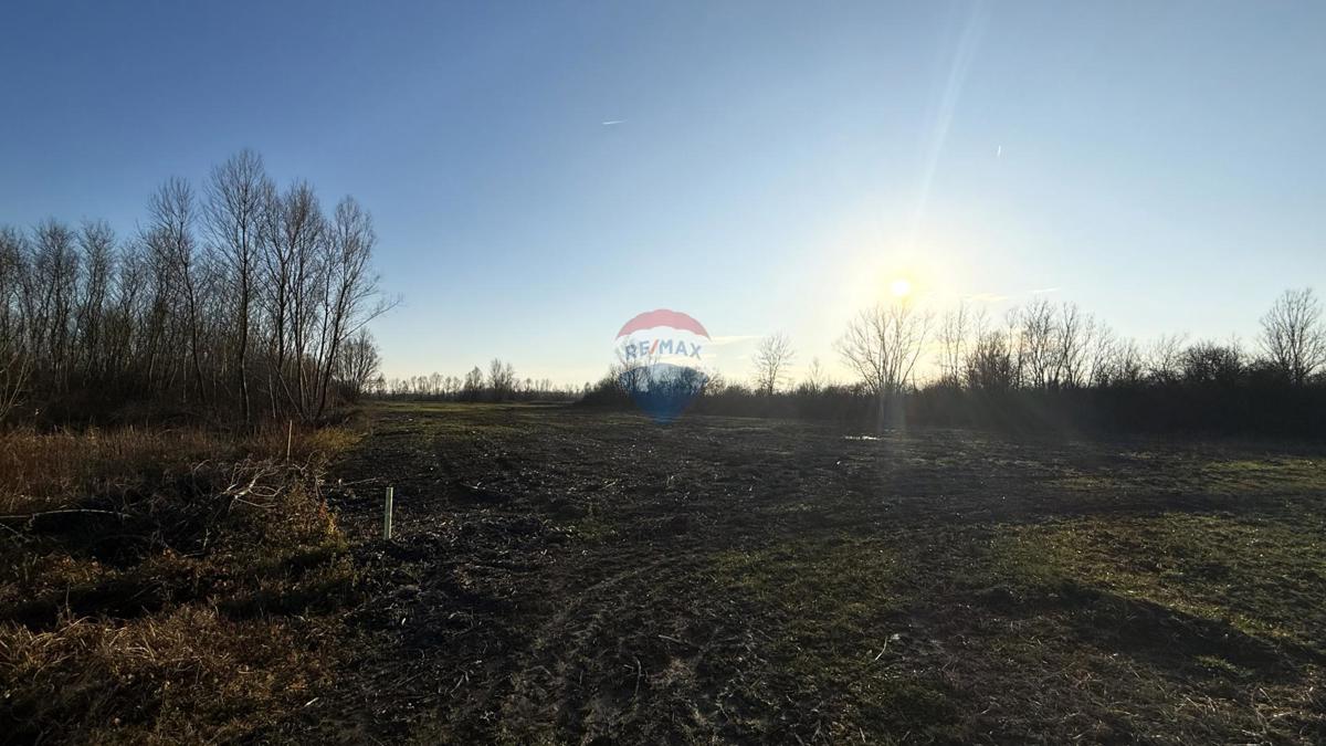 Stavbno zemljišče Lupoglav, Brckovljani, 11.434m2