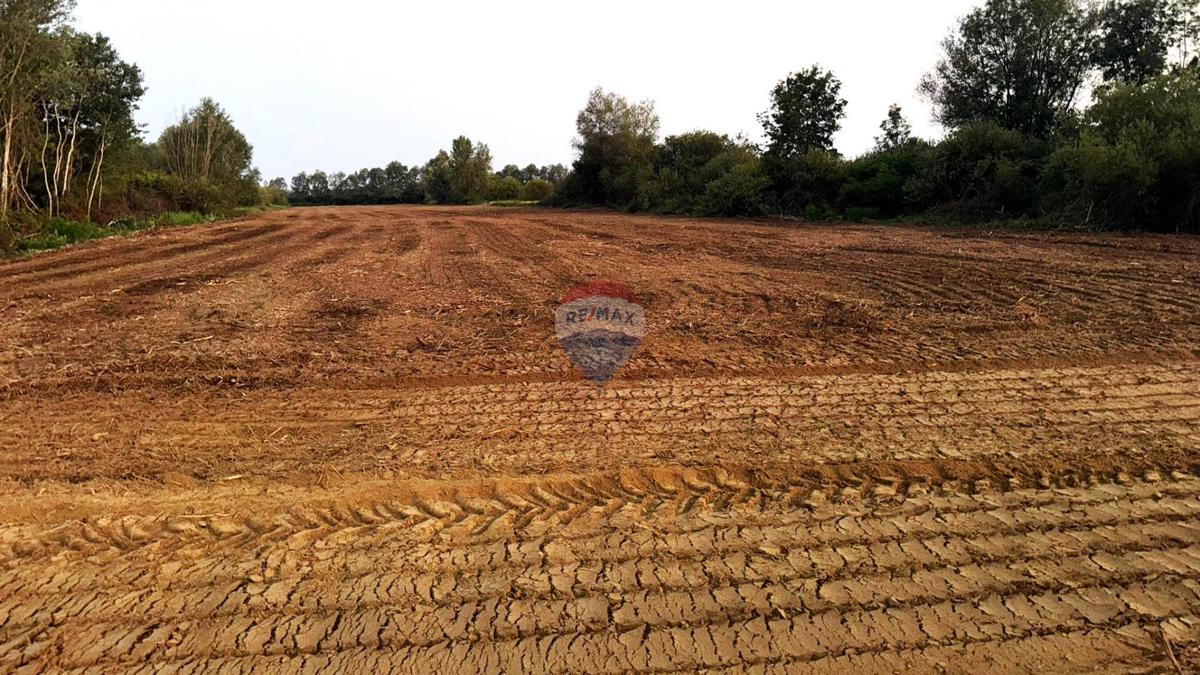 Stavbno zemljišče Lupoglav, Brckovljani, 11.434m2