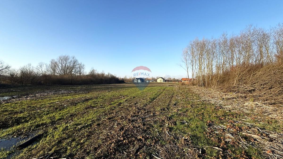 Stavbno zemljišče Lupoglav, Brckovljani, 11.434m2