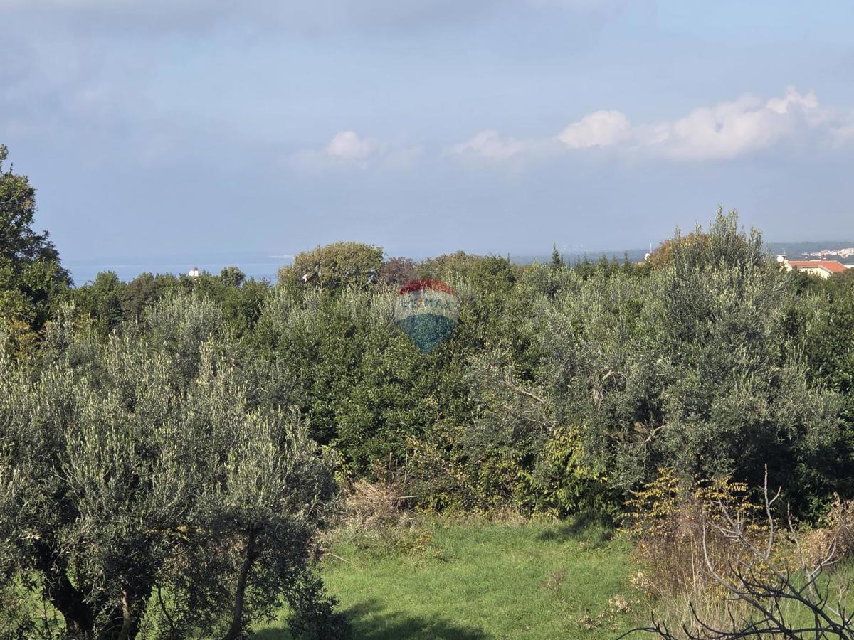 Stanovanje/Apartma Štinjan, Pula, 109,56m2