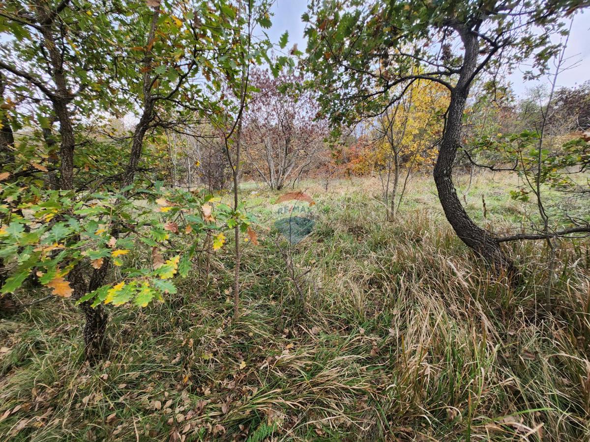 Stavbno zemljišče Čiritež, Buzet, 9.290m2