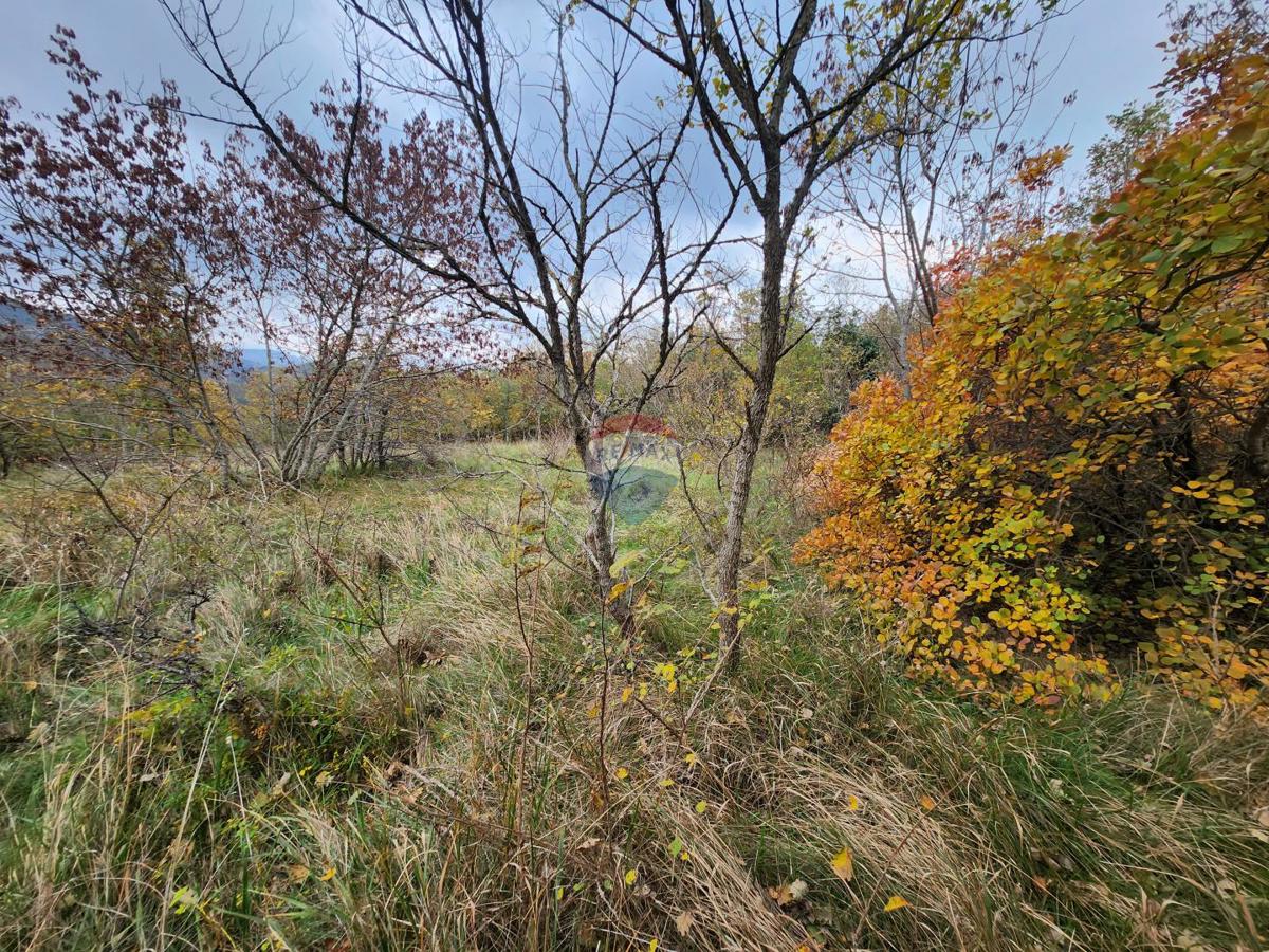 Stavbno zemljišče Čiritež, Buzet, 9.290m2