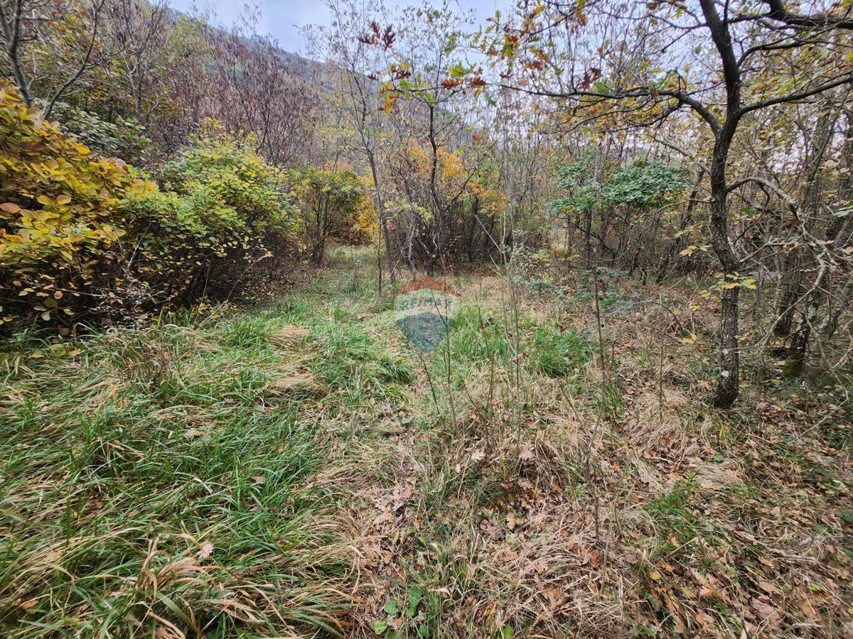 Stavbno zemljišče Čiritež, Buzet, 9.290m2