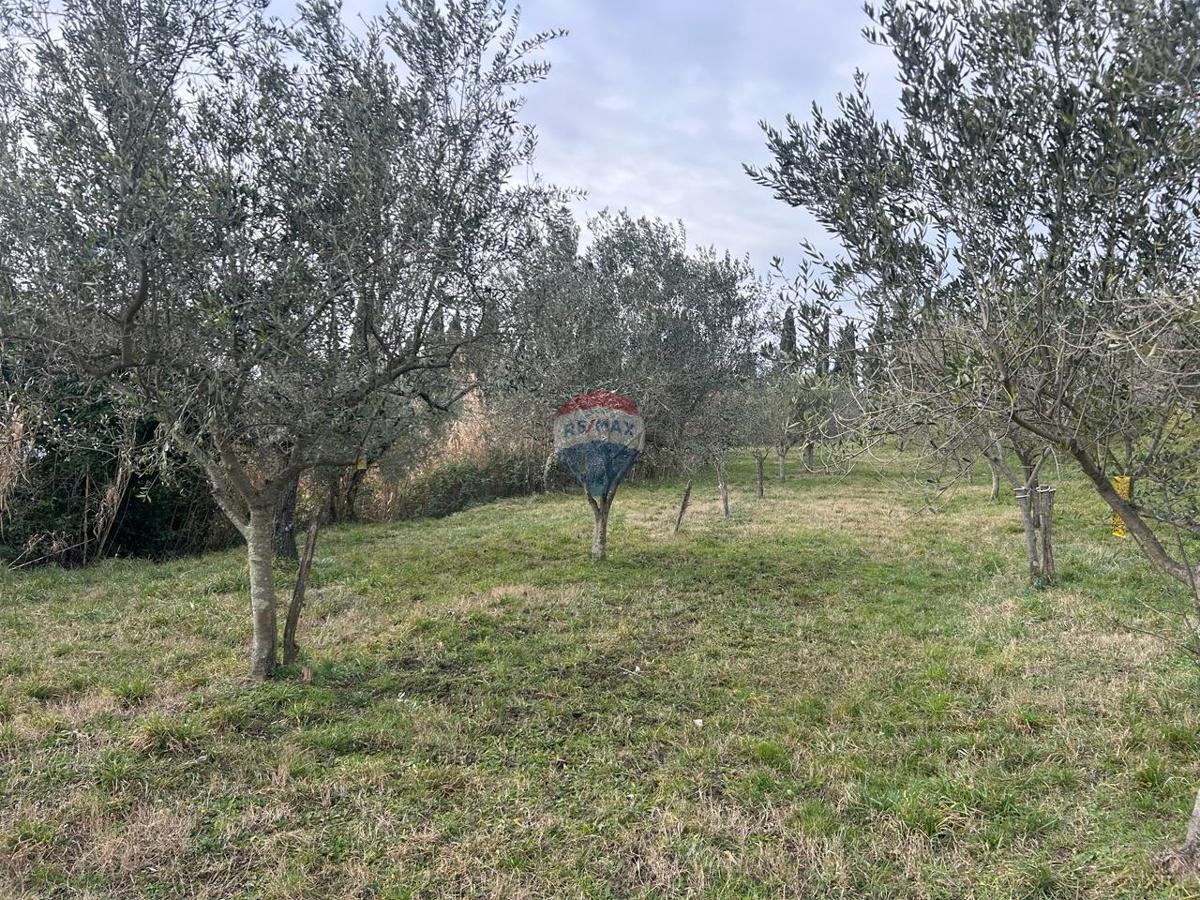 Stavbno zemljišče Buje, 608m2