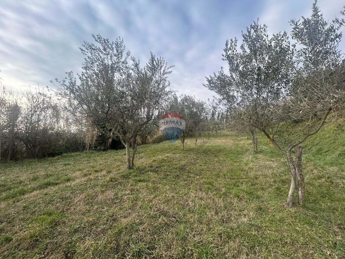 Stavbno zemljišče Buje, 608m2