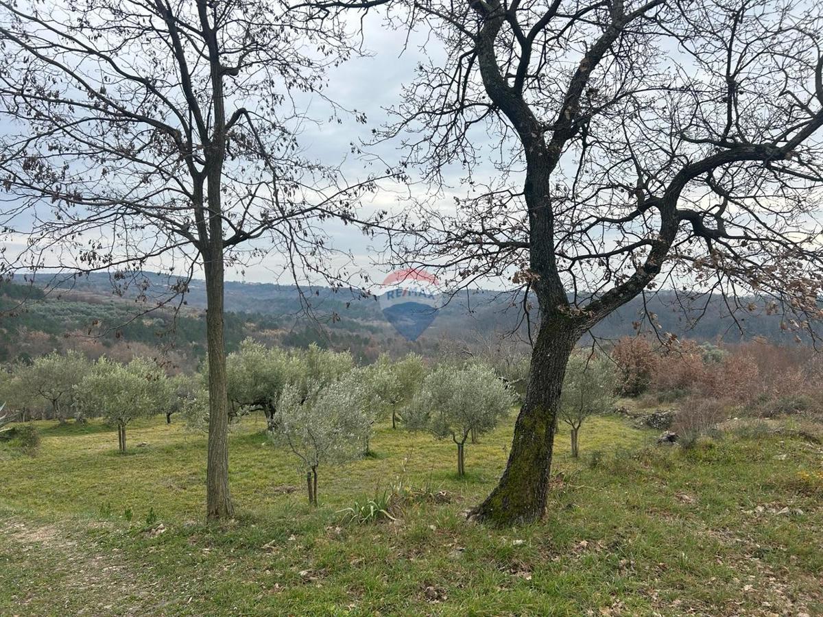 Stavbno zemljišče Buje, 608m2