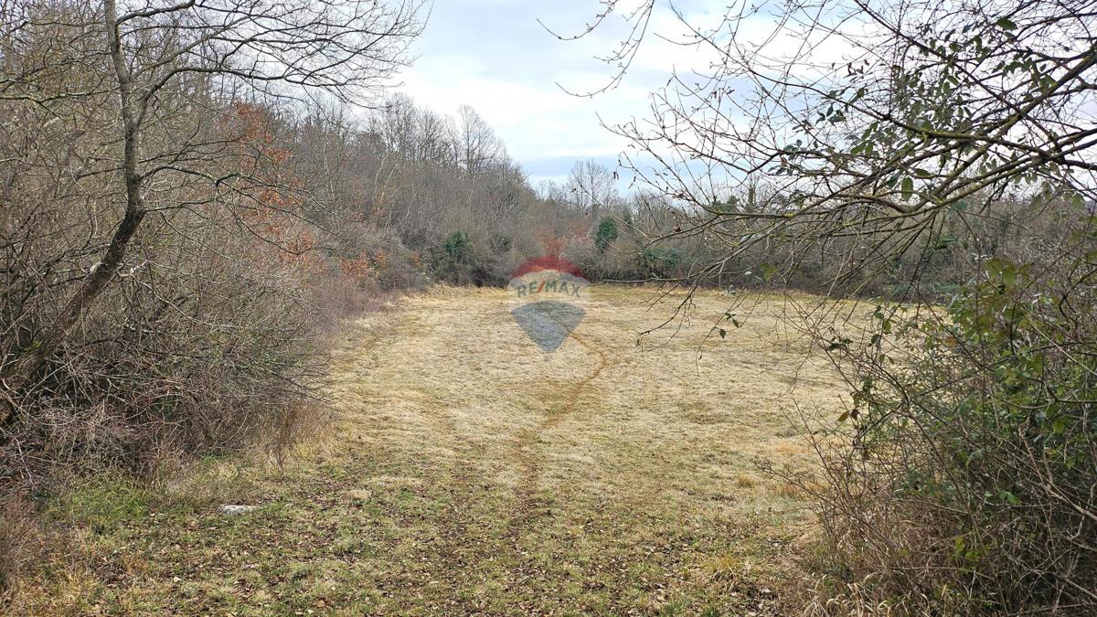 Stavbno zemljišče Grožnjan, 1.298m2