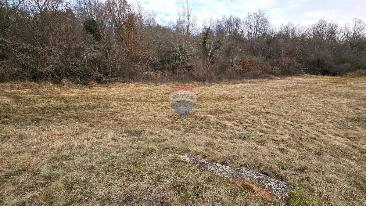 Stavbno zemljišče Grožnjan, 1.298m2