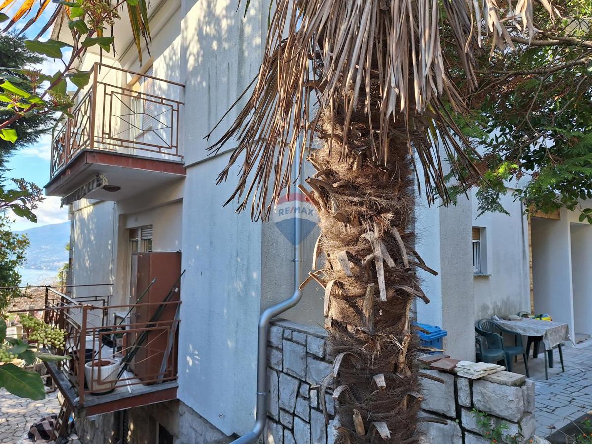 Stanovanje/Apartma Brestovice, Kastav, 208m2