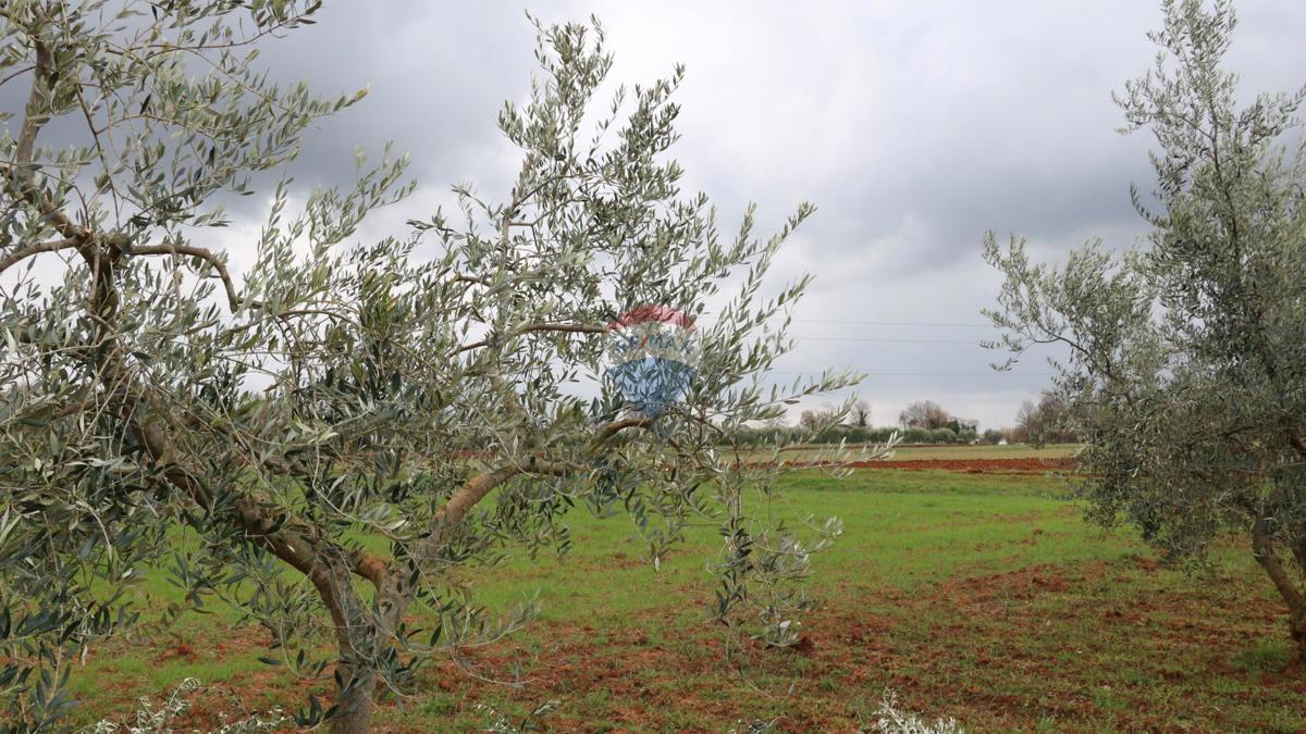 Stavbno zemljišče Poreč, 10.200m2