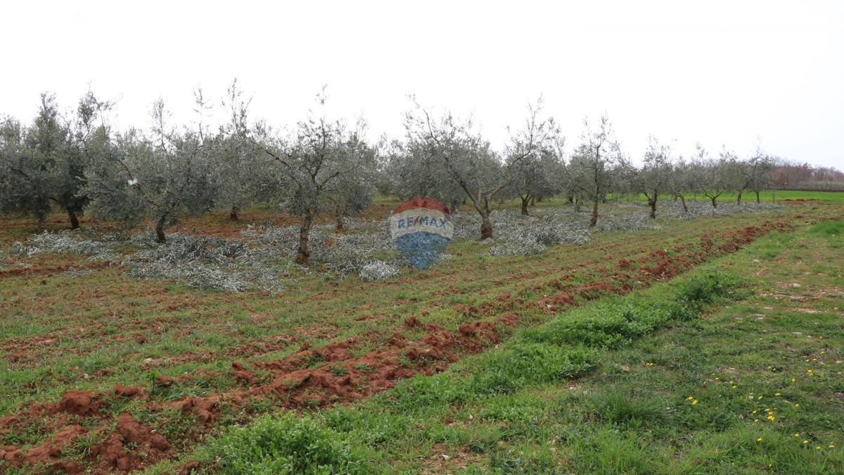 Stavbno zemljišče Poreč, 10.200m2