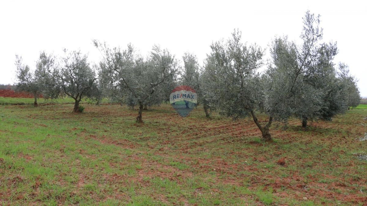 Stavbno zemljišče Poreč, 10.200m2