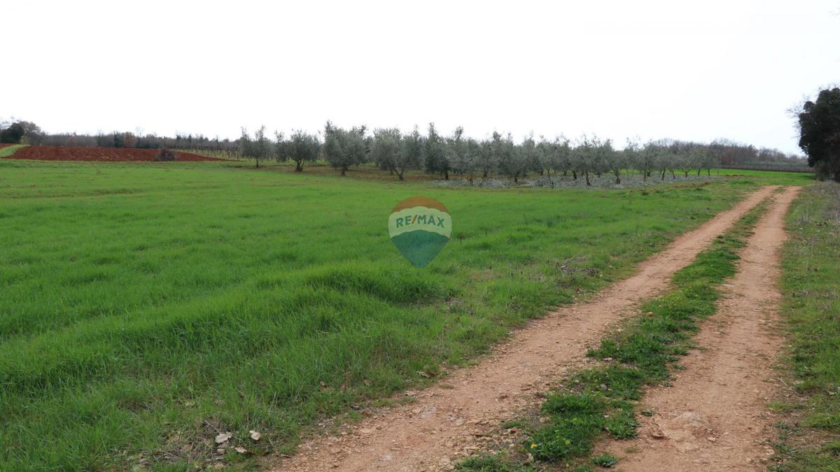 Stavbno zemljišče Poreč, 10.200m2