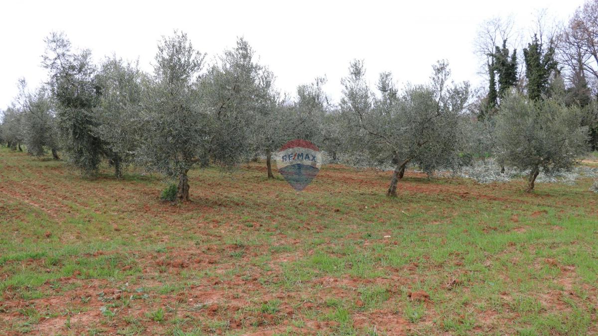 Stavbno zemljišče Poreč, 10.200m2